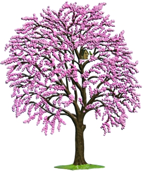 Blossom tree pink