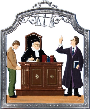 Profession lawyer/judge